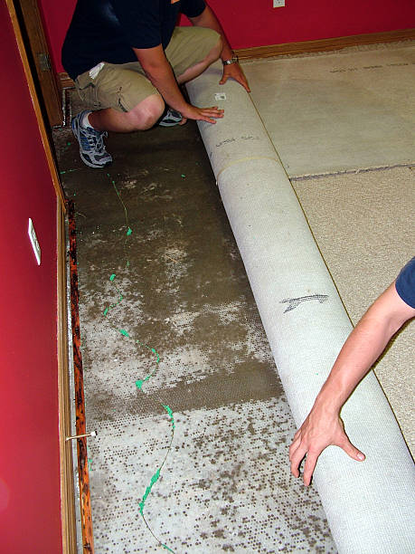 this is a water damage clean up in a residential home.