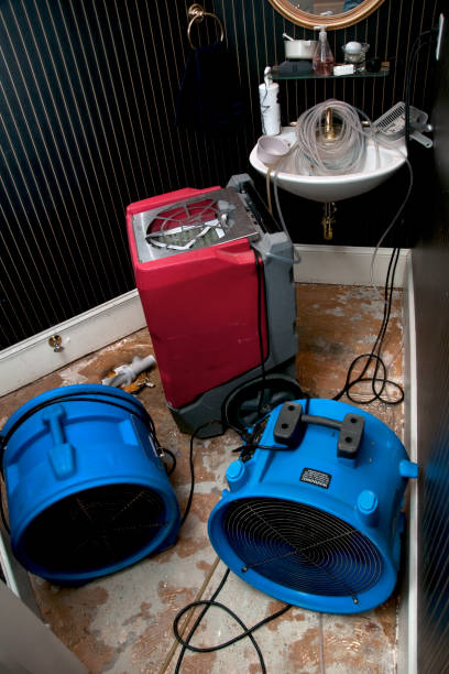water damage (52)